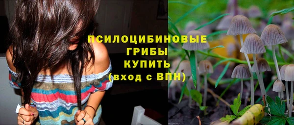 гашик Абаза