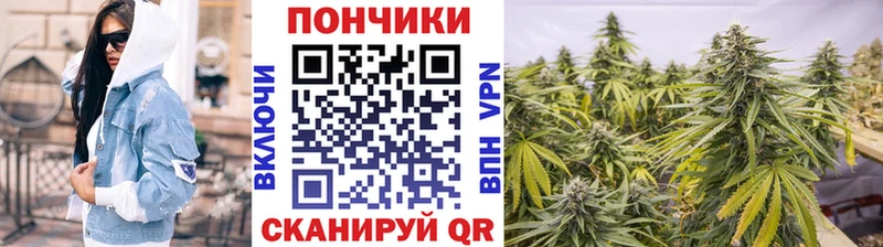 наркота  Чердынь  Конопля тримм 